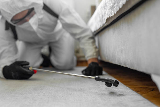 Professional Termite Control technician working in Pleasant Valley, MO