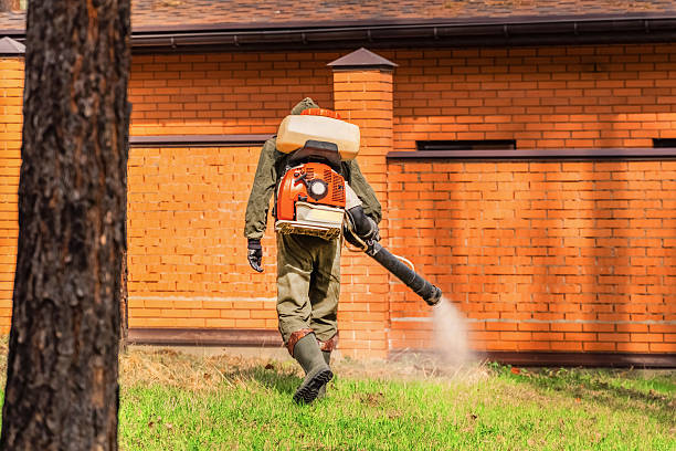 Trusted Ant Control service in Pleasant Valley, MO - Nex Pest Control